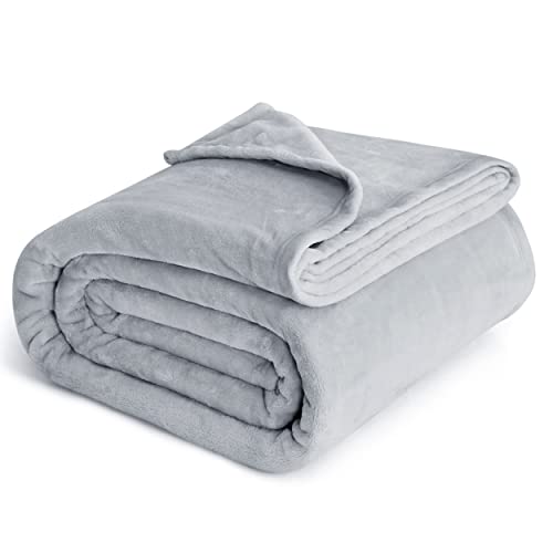 Bedsure GentleSoft Fleece Blankets Queen Size Light Grey - Bed Blanket Soft Lightweight Plush Fuzzy Cozy Luxury Microfiber, 90x90 inches
