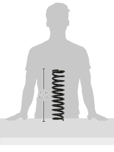 Monroe SP1752 Ressort de Suspension Oespectrum - Image 3