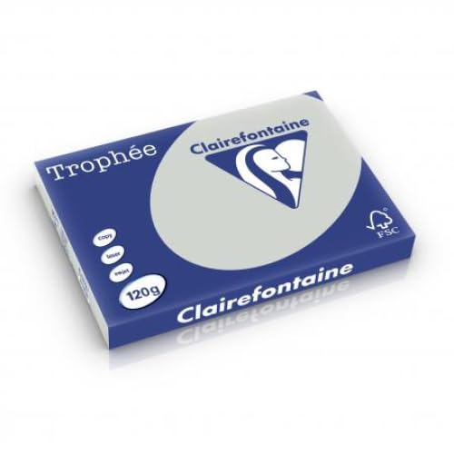 Lot de 5 Ramette de 250 feuilles de papier Trophée gris acier, A3, 120 g/m²