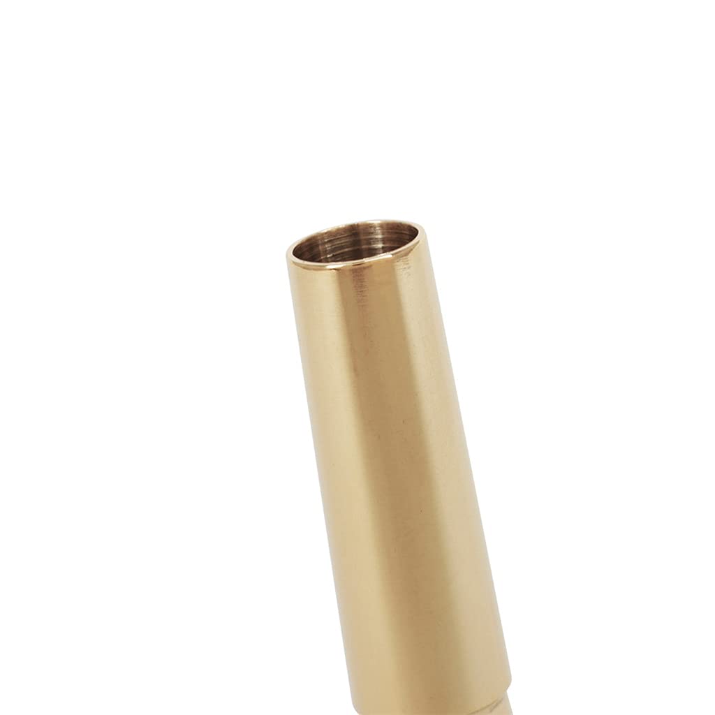 Embouchure euphonium pour apprenants professionnels - Pour les instruments de musique