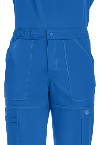 Pantalon cargo à fermeture Éclair Dickies DK110 bleu stretch - 3