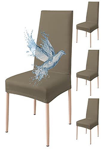 Poligino Fundas Sillas de Comedor Pack 4 Impermeable, Fundas para Sillas Elástica, Suave y Confortable, Taupe