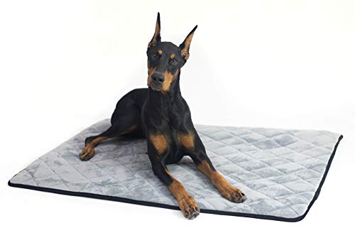 Tapis imperméable pour chien 4Knines