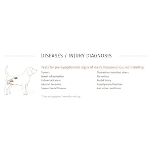 Canine Health Test 3 Minutes Athome Health Test Test for the Presence of Blood for Presymptomatic Signs of Many Diseasesinjuries See Image for a List  Cucciolini Doodles Canine health test  3 minutes at home health test Test for the presence of blood for pre symptomatic signs of many diseasesinjuries See image for a list   cucciolini doodles