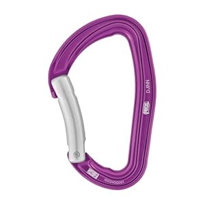 Petzl Djinn Normalkarabiner Kletterkarabiner