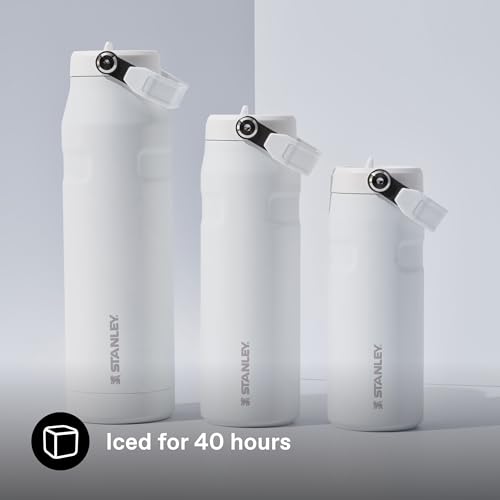 Image of Stanley 1913 Flip Straw Sports Water Bottle with Straw 0.47L - 8 Hours Cold - 40 Hours Iced - Stainless Steel - BPA Free - Leak Resistant - Fits in Cup Holder - Dishwasher Safe - Frost | 8 Hours Cold - 40 Hours Iced - BPA-Free - Leak Resistant - Dishwasher Safe - Fits Cup Holder