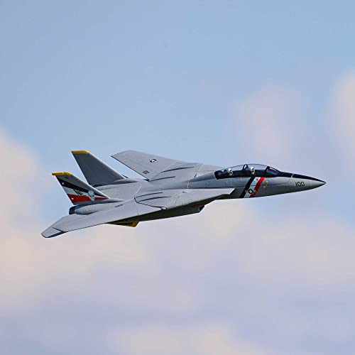 Avion E-flite F-14 Tomcat Twin 40mm EDF BNF Basic EFL01450 pour modélisme RC