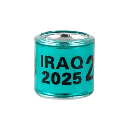 2024/2025 Multicolor Pigeon Foot Ring with Word Earrings Quality Durable