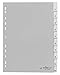 Produktbild Durable Blanko-Register aus PP (mit blanko Taben) 10-teilig, grau, 644110