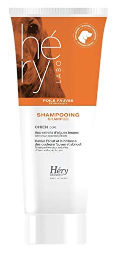 HEry Shampooing Sublimateur Pelages Fauves Laboratoires