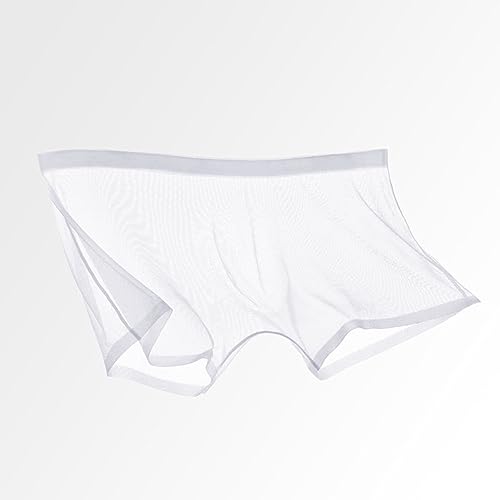 Transparent Shorts Briefs Men's See-through Mesh Panties Ultra-thin Breathable Comfortable Fit Underpants Lightweight3