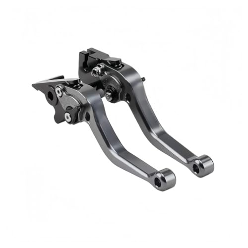 Motorrad-Handbremse CNC-gefräster Kupplungs- und Bremshebel für Yamaha für TMAX 500, 560 DX SX für T-MAX 530 Tech Max Motorräder(C)