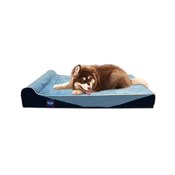 LaiFug Orthopädisches Hundebett aus Memory-Schaum, extra groß
