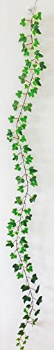 Gasper Kunstpflanze Efeu ENGL. Mini- Efeugirlande 180 cm. Farbe GRÜN-Weiss -60