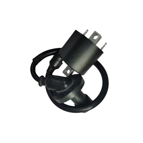 Bobina de encendido para motocicleta L125 que restaura tu motor