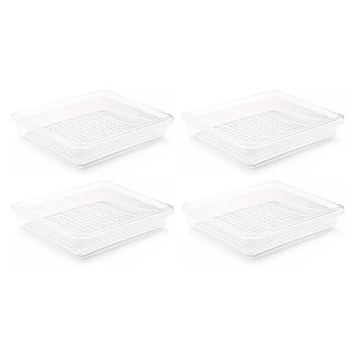 AC - Pack de 4 Bandeja frigorífica de Almacenamiento con Tapa y Rejilla, plástico, Reutilizable, descongelar Alimentos, Fabricado en España - 4 litros - 35 x 27,5 x 6,5 cm - Transparente