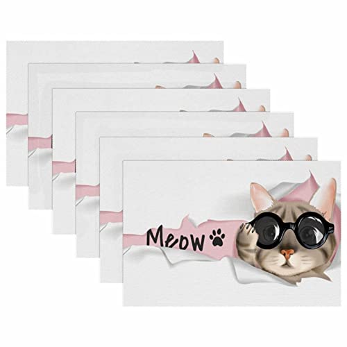 Set de table chat noir 30x45 lot de 6 dessous de plat isolant lavable cuisine