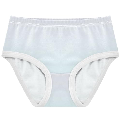 Joisal Stylish Toddlers Underwear Floral 2t Cotton Panties Little Girl Ombre Cyan Gradient Briefs Kids Undies