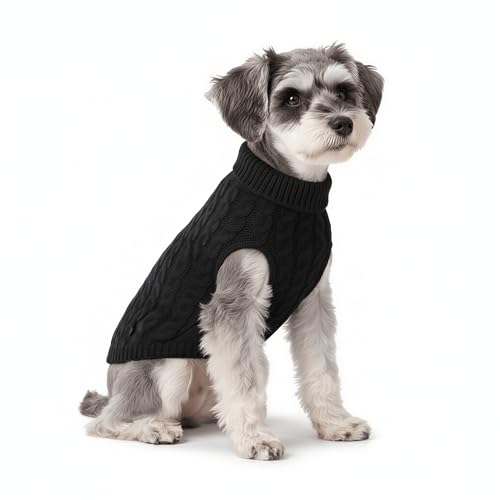 Epochtech  L p Z[^[ t H ~ p jbg Z[^[ h g   ^ ^ ybg (, S)