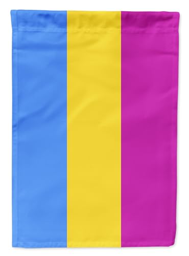 Drapeau Pansexual Pride Caroline's Treasures pavillon extérieur double face de 28x40 pouces - 2