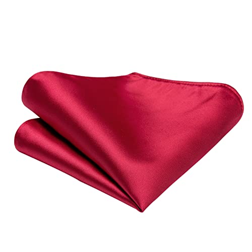 Hi-Tie Silk Ties for Men Pink Blue Black Mens Ties Set 4 PCS Necktie Pocket Square Cufflinks Clip Pin for Wedding