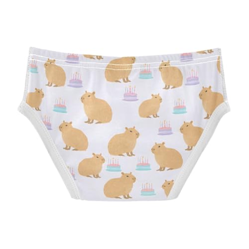 Capybara Birthday Cake Pattern Boys' Underwear 100% Cotton Boys' Briefs Soft Toddler Underwear2