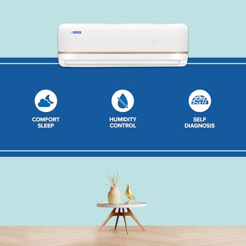 Image of Blue Star 1 Ton 2 Star, New Star Rated, Fixed Speed Split AC (Copper, Comfort Sleep, Turbo Cool, Blue Fins, Self Diagnosis, FA212TXU, White)