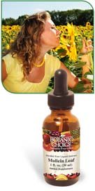 Botanic Choice Mullein Leaf Liquid Extract Alcohol Free 1 fl oz
