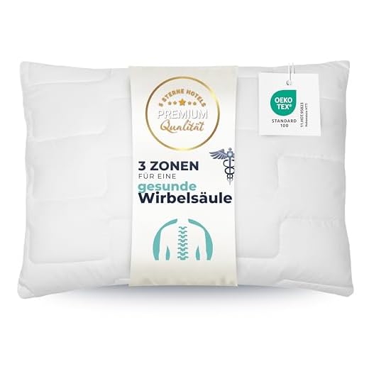 Schiesser ganzjahres Kopfkissen / 40 cm x 80 cm / Allergiker geeignet / verschiedene Größen erhältlich 2 ZOLLNER Kopfkissen Mikrofaser 420 g, Dreikammern, ca. 60x80 cm, weiß, Ökotex