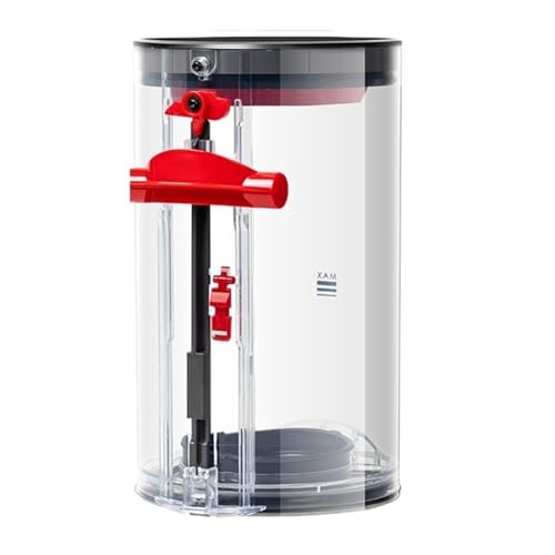 _C\V10 SV12|@LjX^[ƌ݊̂rAǐp^_Xgr