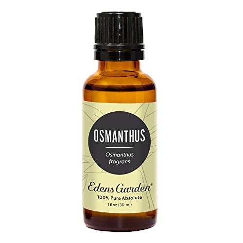 Edens Garden Osmanthus Essential Oil, 100% Pure Therapeutic Grade (Undiluted Natural/Homeopathic Aromatherapy Scented Essential Oil Singles) 30 Ml #TOP24