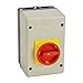 FMX Large Enclosure and Rotary Handle Disconnect Station for IMM32, Red/Yellow Padlockable Handle, IP55