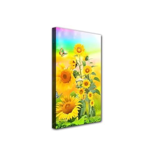 Peinture diamant grand format facile contre le stress broderie 70x140cm
