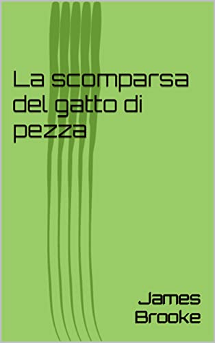 La scomparsa del gatto di pezza (Italian Edition)