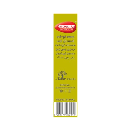 Image of Badshah Panipuri Masala 100 Gm
