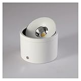 Zoom IMG-1 ngbff faretto da soffitto a Zoom IMG-1 ngbff faretto da soffitto a