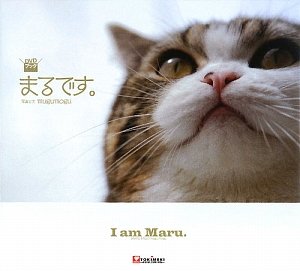 無料電子書籍 pdf DVD写真集 まるです。 バイ