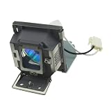 Más duradero y mejor efecto. LIMINGHUA Lámpara de proyector 5J.J0A05.001 con Carcasa for Be-NQ MP515 MX501 MP515ST MP526 MP575 MP576