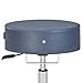Master Massage Glider Ergonomic Round Swivel Adjustable Rolling Hydraulic Stool in Royal Blue Barber Dental Chair for Therapist, Clinic, Tattoo, Spas, Beauty, Lash, Salons, Home, Studio, Office