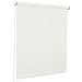 Produktbild ROLLMAXXX Standard-Rollo Lichtdurchlässig Seitenzug Kettenzugrollo Tageslicht Sichtschutz (180 x 190 cm, Weiß)