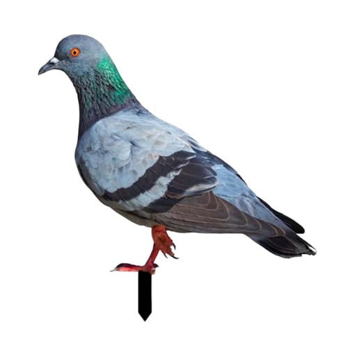 Yajuyi ̑ K[fXe[N  [hTC  [hA[g ̒u Ő peBI ʘH p nʑ}, 31x30x0.1cm