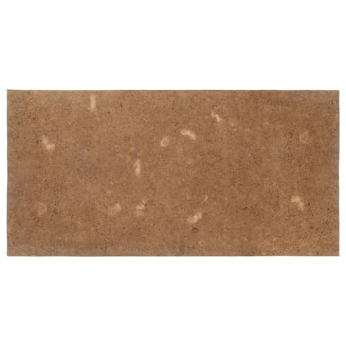 vidaXL Matratzenauflage, Bettauflage mit guter Luftzirkulation, Kokosfasermatte für Matratzen, Kokosmatte Schoner, 90x200cm Kokosfasern