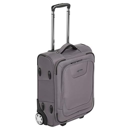 AmazonBasics – Maleta blanda expansible apta para cabina de pasajeros con candado TSA y ruedas, 48 cm, gris