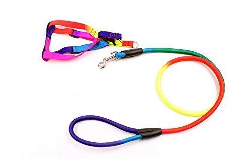 Sage Square Rainbow Colour Weave Nylon Pet Rope Dog Harness Training Walking Leash (Medium) (B08C5KCYDJ) Amazon Price History, Amazon Price Tracker