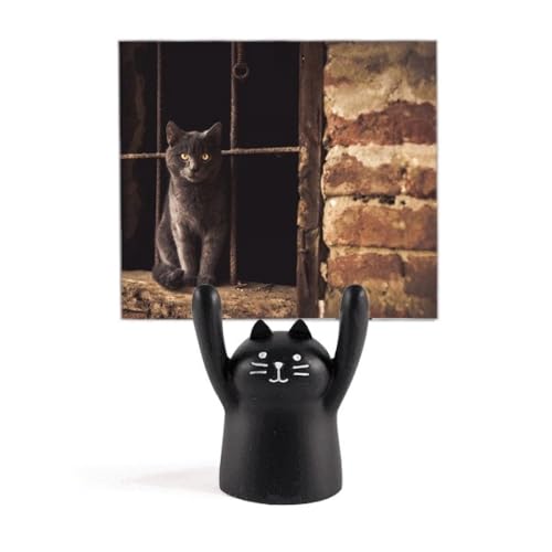 ̊p̔L̎ʐ^ J[gD[LX^h^z_[