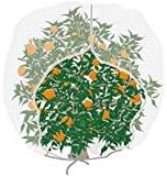 Agfabric Bird Netting 72" Hx72 W Garden Netting Insect Pest Barrier,Plant Cover Fruit Tree Netting Mesh Protection Bag with Zipper,White