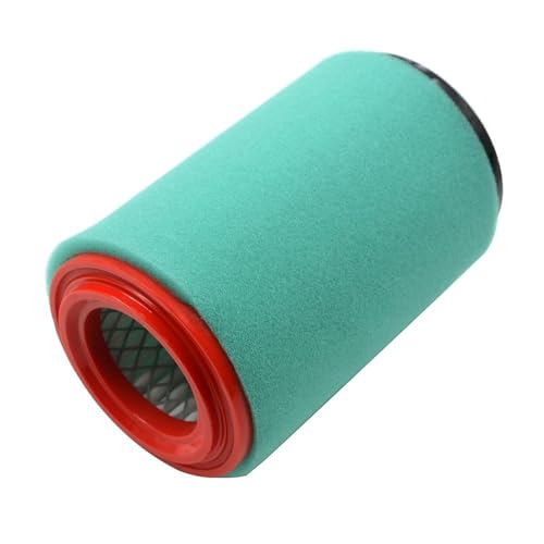 Filtre à air Bruin 250 pour résoudre les pertes de puissance - 5