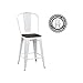DHP Luxor Metal Counter Stool with Wood Seat and Backrest, 24