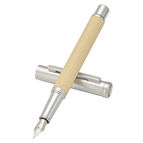Image of Hongdian Silver Birch Forest Aluminum Fountain Pen Medium Nib with Metal Box Writing Pen Set'1 Count (Pack of 1)