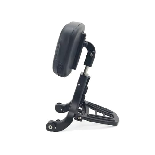 Support De Dossier Passager Réglable Sportster XL1200 Fatigue Dos - 5